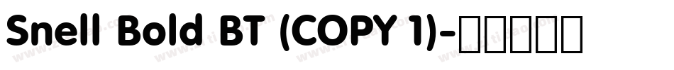 Snell Bold BT (COPY 1)字体转换